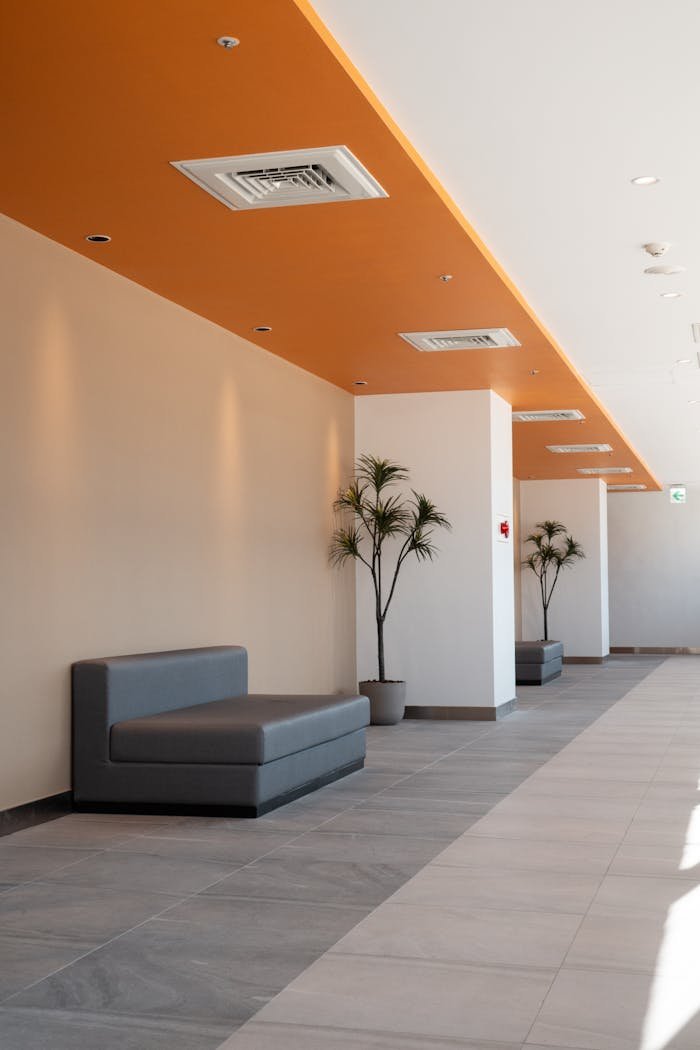 Bright minimalist hallway with orange ceiling and potted plants in a modern building.